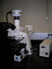Zeiss Axioskop Fluorescent Microscope