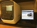 ThermoFisher Scientific/Applied Biosystems QuantStudio 6 Flex Real-Time PCR
