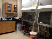 Cell Culture Facilities