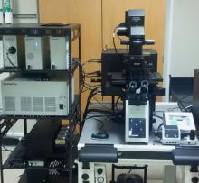 Confocal Laser Scanning Microscope FV-3000 (CLSM)