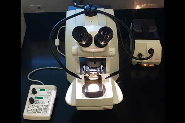 Vibrating Blade Microtome VT 1200 (Leica)